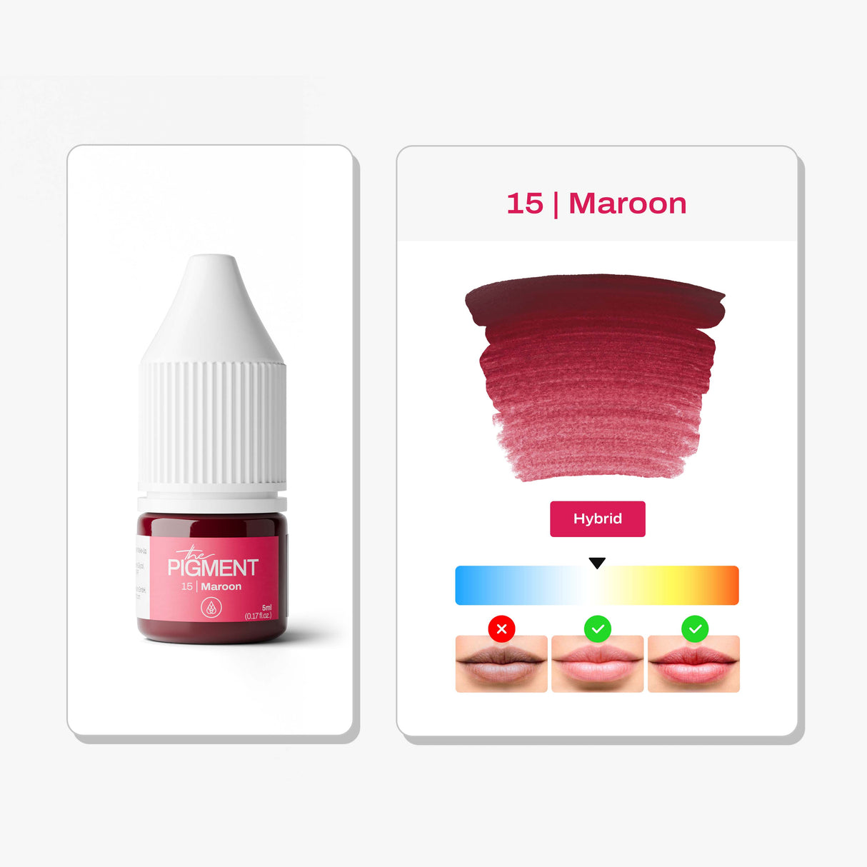 The Pigment 15 Maroon deep warm lip pigment shade detail