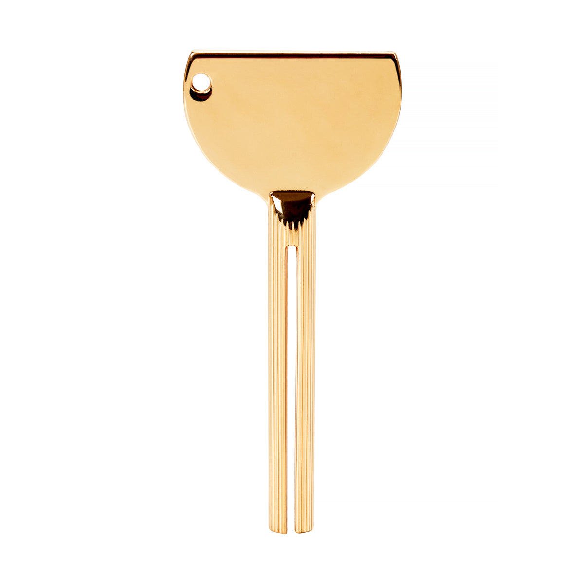 Paint squeezing key gold - BVShop
