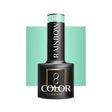 OCHO NAILS Hybrid nail polish rainbow R10 -5 g - BVShop