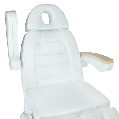 Electric Armchair LUX Pedicure BG-273C 3 engines - BVShop