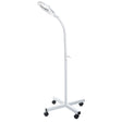 Magnifying lamp on stand BR-663G - BVShop