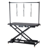 Electric Grooming Table XL BP-305 Black - BVShop