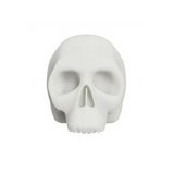 White Silicone Practice Skull 54 × 32 × 43cm - BVShop