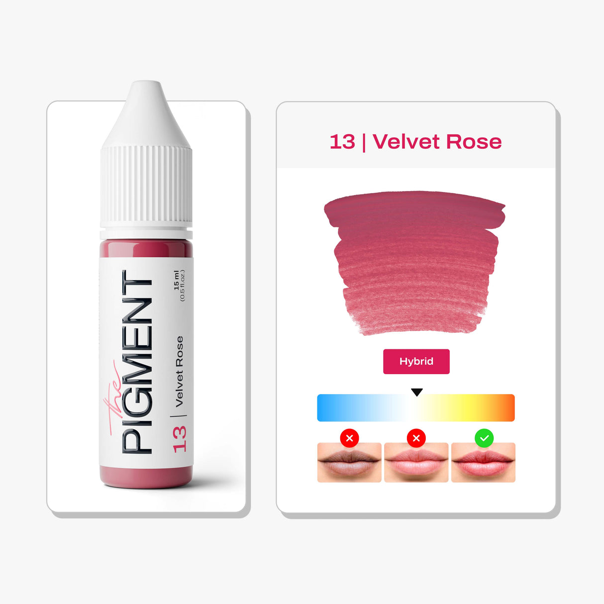 The Pigment 13 Velvet Rose lip pigment main image for PMU lips