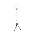 Ring Light440 18" 55W With Tripod - BVShop