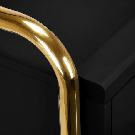 Gabbiano hairdressing assistant Solo gold – black - BVShop