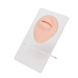 Mouth Piercing Silicone Model