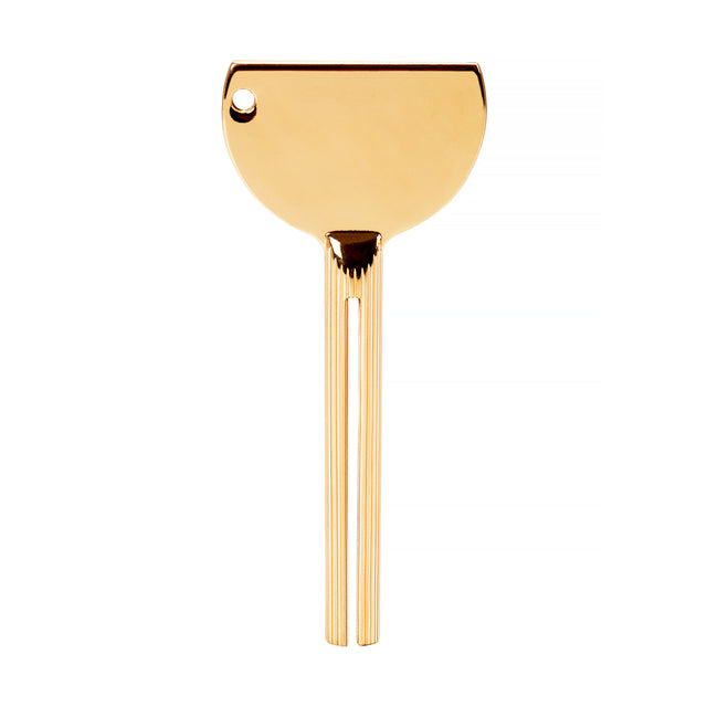 Paint squeezing key gold - BVShop