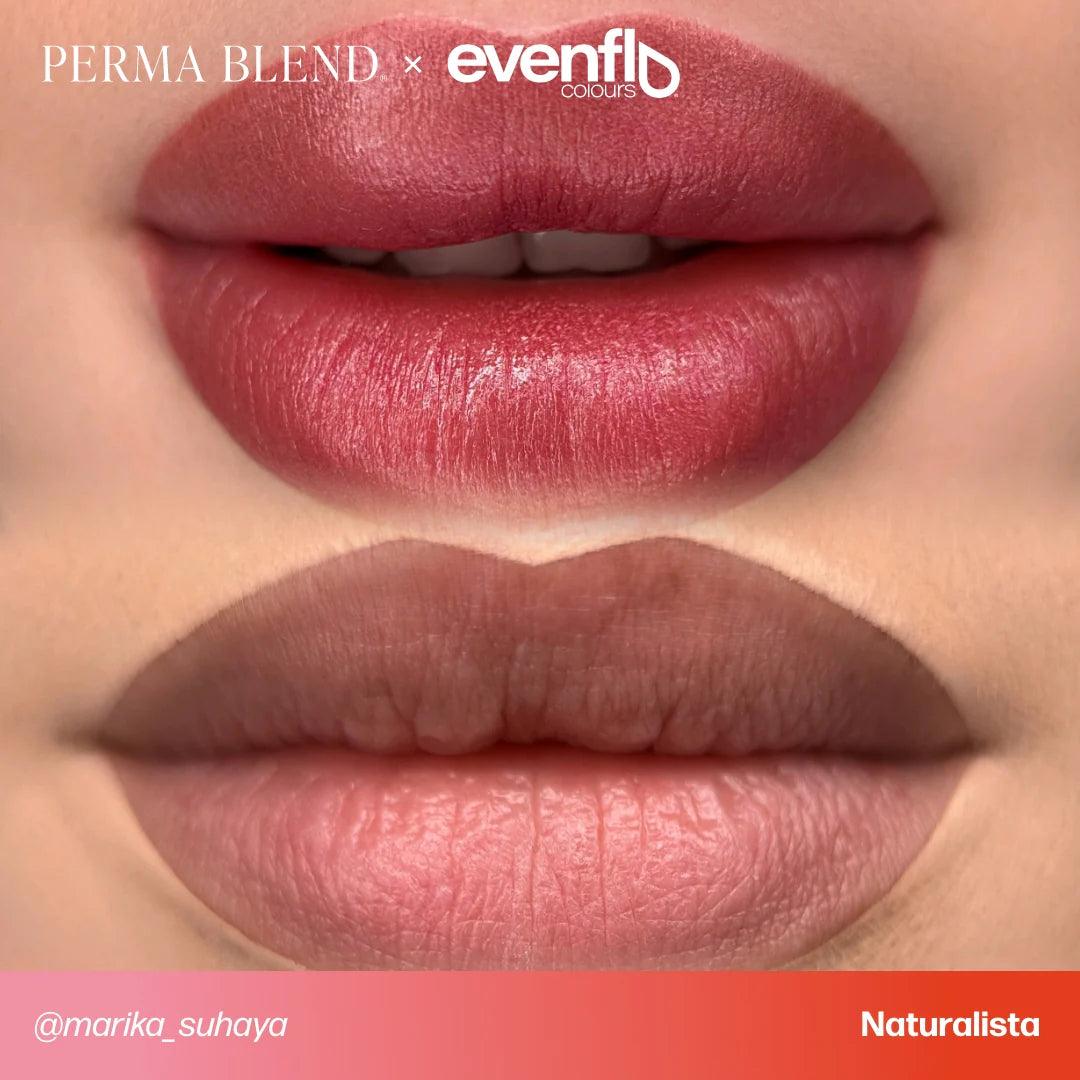 Perma Blend Evenflo Naturalista - BVShop