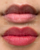 Perma Blend LUXE Popi - BVShop