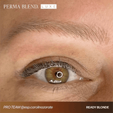 Perma Blend LUXE Ready Set Go Premodified Set - BVShop