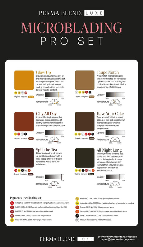 Perma Blend Microblading Pro Pigments All Night Long 10ml - BVShop