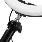 Ring lamp hanger - BVShop